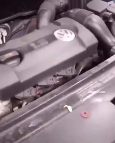 hungry car??