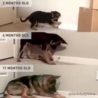 Some things never change