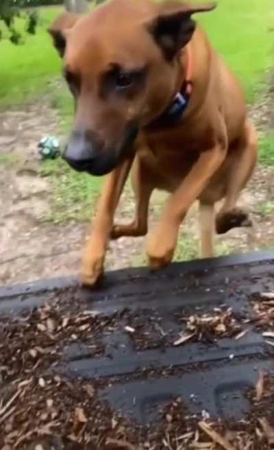 That face says it all