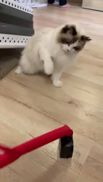"STAY DOWN!"