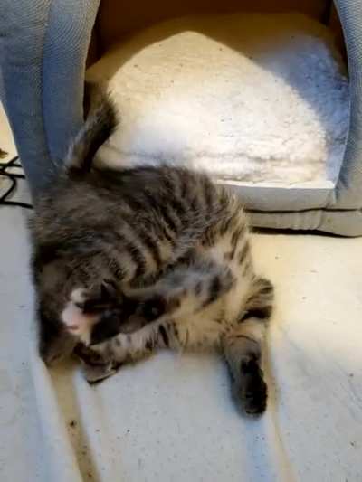 "Mika waking up from her nap"