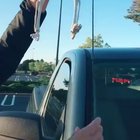 A new antenna ornament for Halloween ?