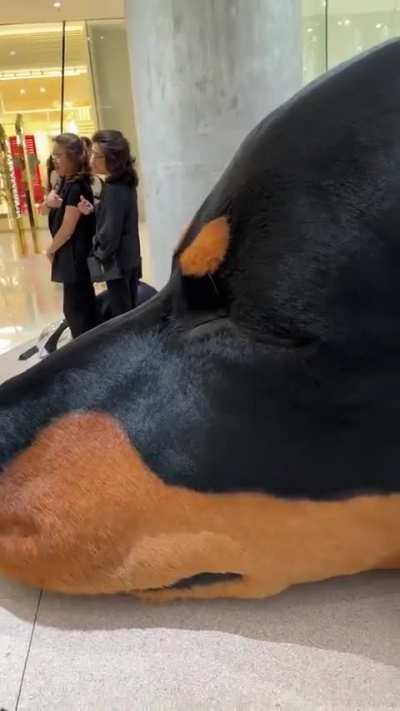 This sleeping dog statue looks so real.