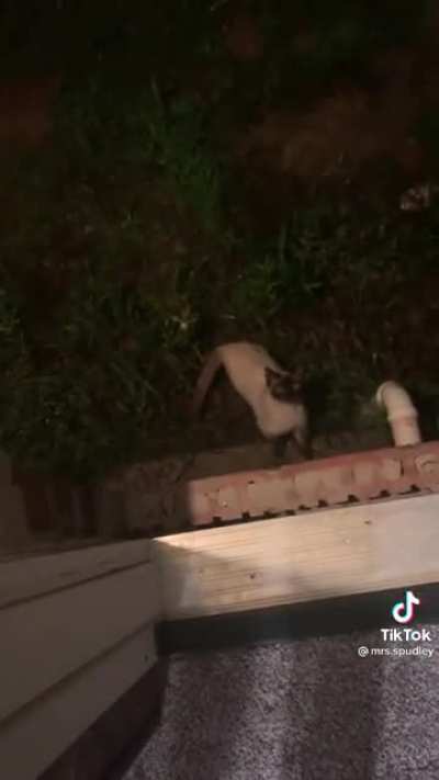 Oop