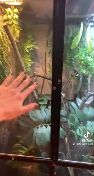 Shhh, you don’t see me