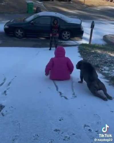 The Dog???