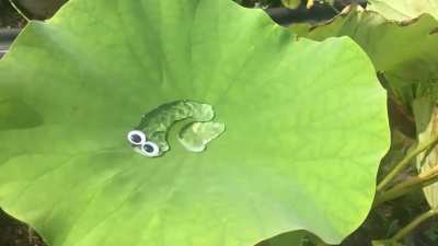 Maybe Maybe Maybe