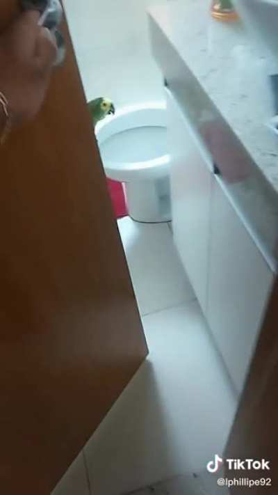 Singing in the shower