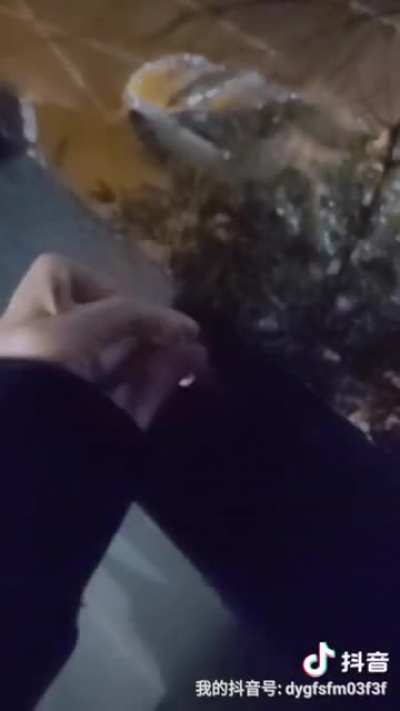 Cigarette bamboozle