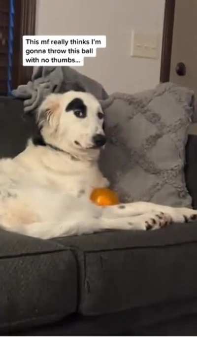 You seeing this?