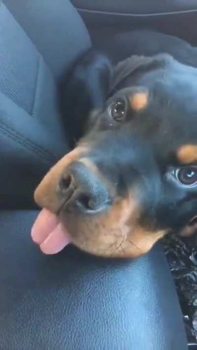 Tongue out??