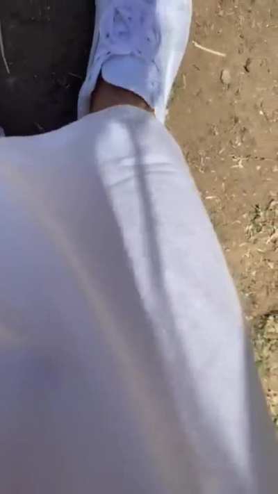 HMC while I kiss an alpaca