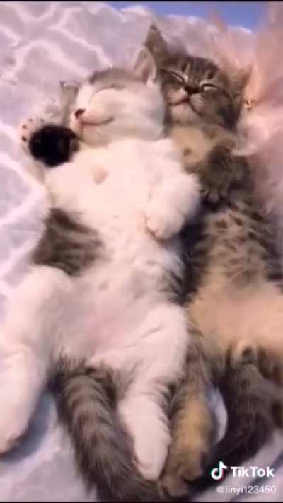When they sleep it's the most beautiful ??