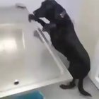 Wait for it
