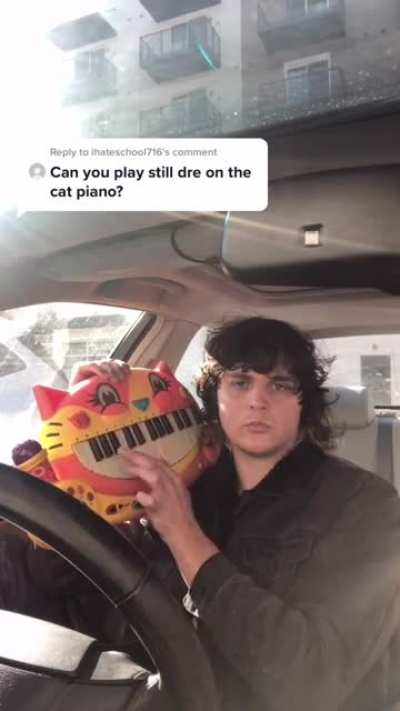 Still Dre on the cat piano