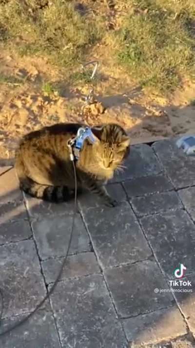 Exploring outside