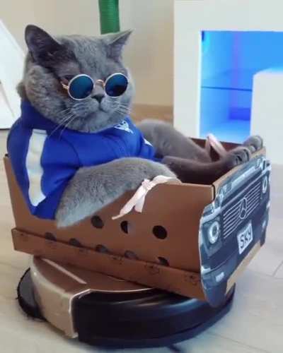 Like a boss ??