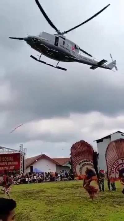 Peacocks do fly ?
