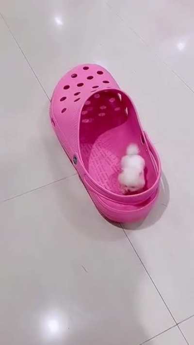 Mini ?