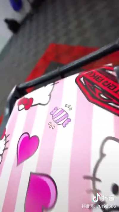 What is so special about a garbage bin with Hello Kitty painted over? Plus the effects...