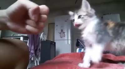 High five, bro ?