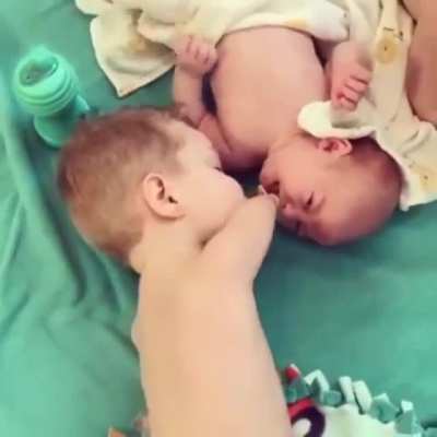 Big brothers ?