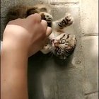 Those reactions are just awesome ?