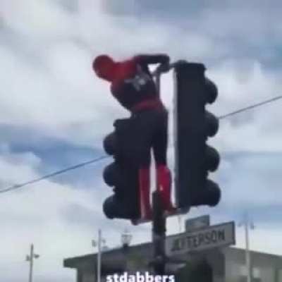 Holup Spiderman lookin THICC