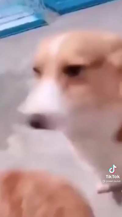 No context needed