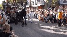 Xolo the giant dog puppet with the Royale de Luxe meets a curious Rottweiler on the parade route in the Netherlands