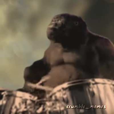 How Godzilla v King Kong will actually go down