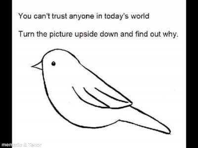 You have a visitor