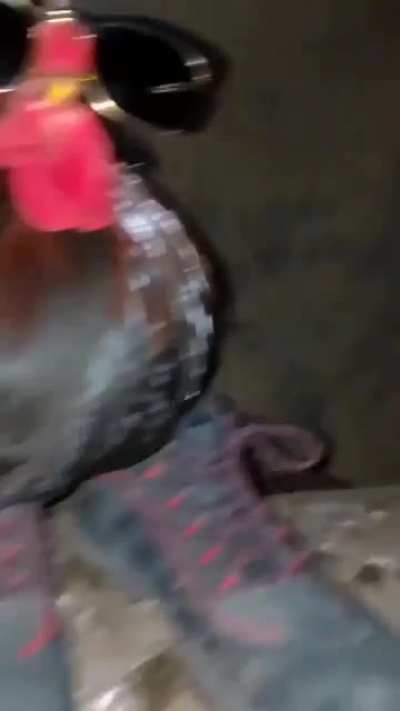 Nice shoes bro