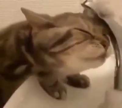 task failed kinda successfully
