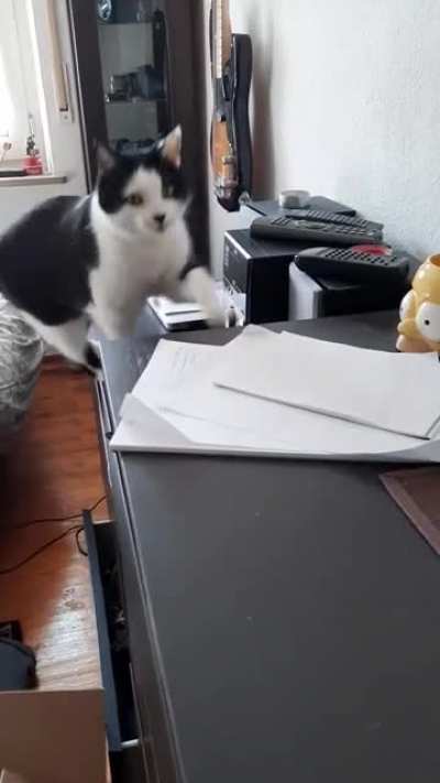 The king of yelling has returned. ??