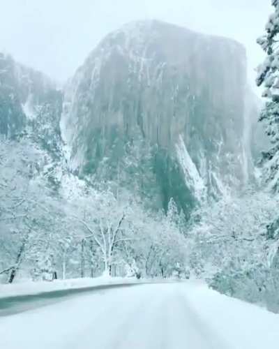 ? Yosemite National Park ?