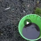 NSFW bad language. Aussies try to clear the smoke stack