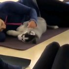 Alternative exercise