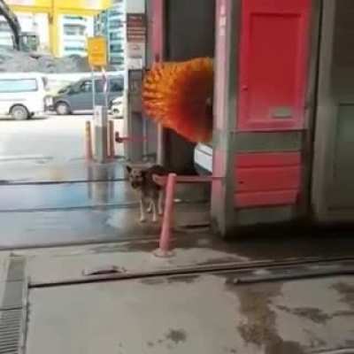 Assume the position!