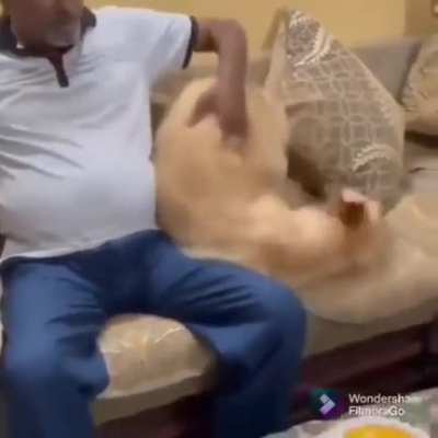 nothing is casual.. everything has been coldly calculated..