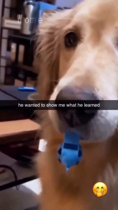 "look at me, mom"