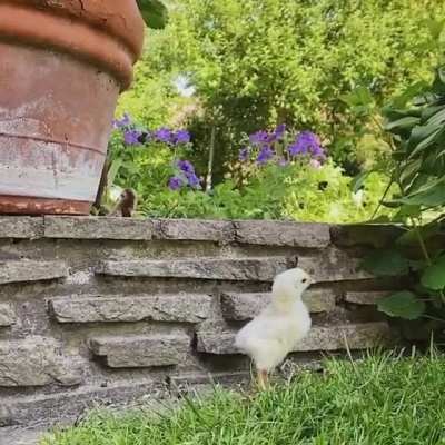 "Hey! Where'd everybody go!?"