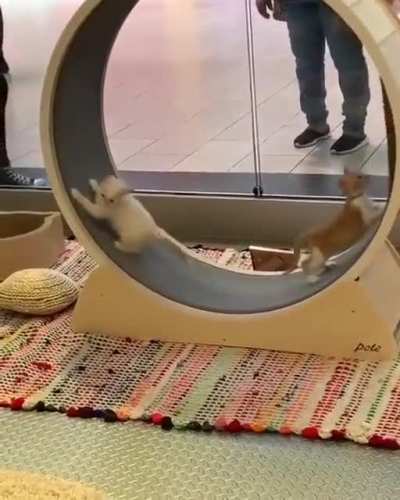 Maybe Maybe Maybe