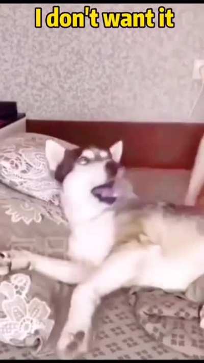 She doesn't like it