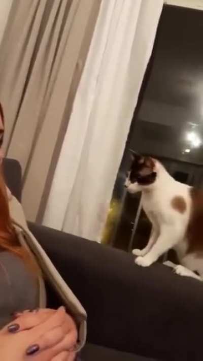 "She ded ? Omg no"