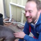 Adoption zoomies! After more than 5 months in the shelter, she found her forever home. Lovely guy came in and said "show me who's been here the longest". It was fate- her name and the guys last name were the same! (Sorry for vertical, I didn't think ahead