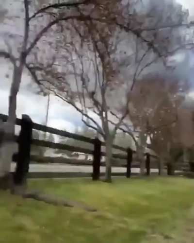 Bonk!