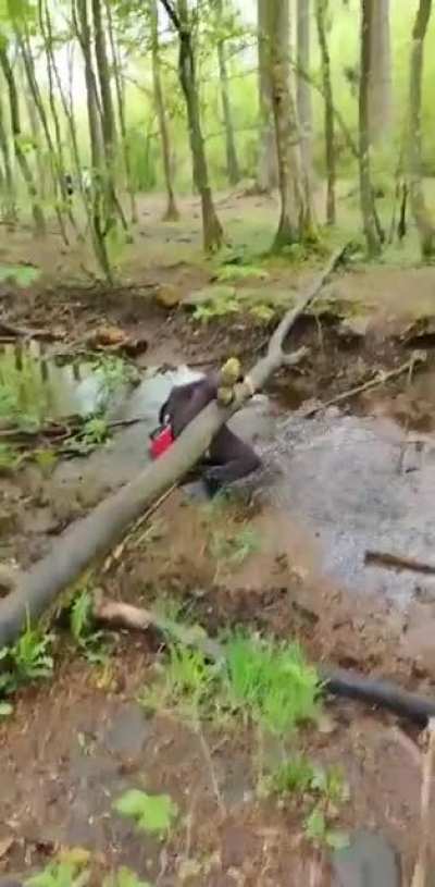 Ops