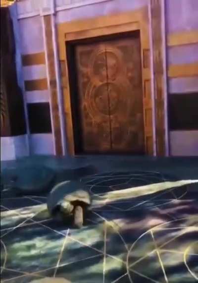 Death Circle