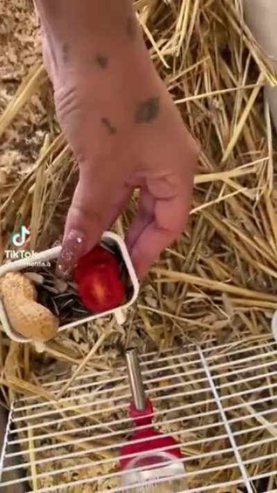 ?